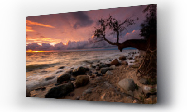 drzewo, Gdańsk morze, gdynia, morze, Morze baltyckie, plaża, wschód słońca, Wschód słońca niebo, zachód, zachód słońca