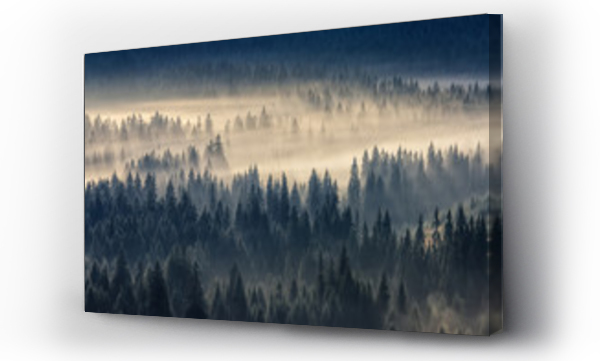 las iglasty w mglistych górach