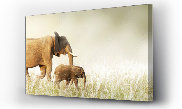 Mama i dziecko słonia spacerujące wśród wysokiej trawy