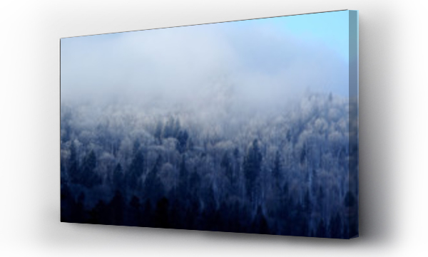 bieszczady, Krajobrazy