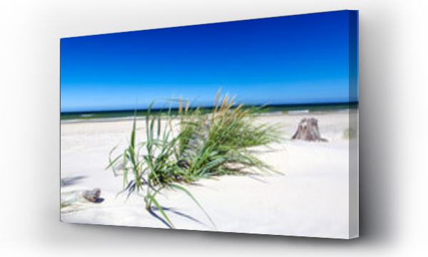 morze, morze bałtyckie, spokój, trawa piasek