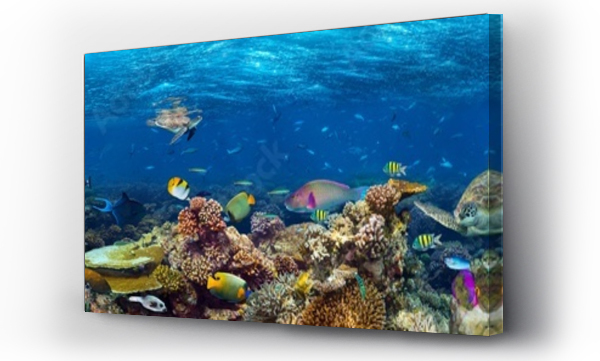 kolorowy super szeroki podwodny rafa koralowa panorama banner tło z wielu ryb rekin żółw i życia morskiego