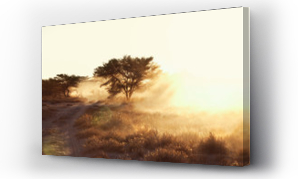 Wizualizacja Obrazu : #137237579 Dusty arid plain and dirt track at sunset, Namibia, Africa