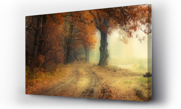 drzewo, jesień, las, Las jesień, Liście