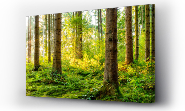 Wizualizacja Obrazu : #140213764 