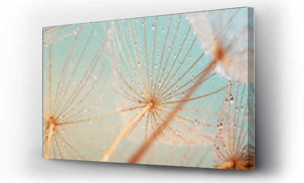 Wizualizacja Obrazu : #140683001 Blue abstract dandelion flower background, extreme closeup with soft focus, beautiful nature details
