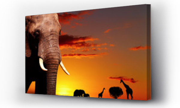 Wizualizacja Obrazu : #14132001 