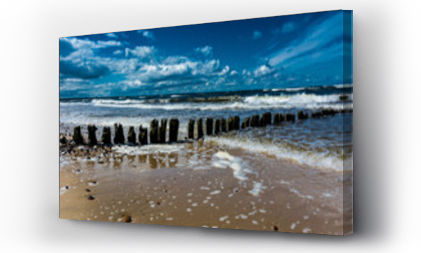 morze, morze bałtyckie, Muszle