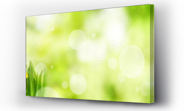 Wizualizacja Obrazu : #142906760 Bright green spring panorama background