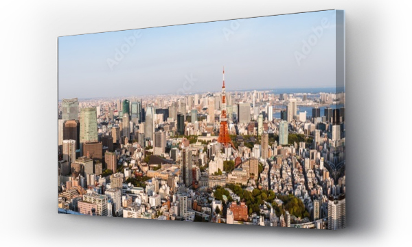 Wizualizacja Obrazu : #1430045080 Tokyo skyline panoramic at daytime, Japan