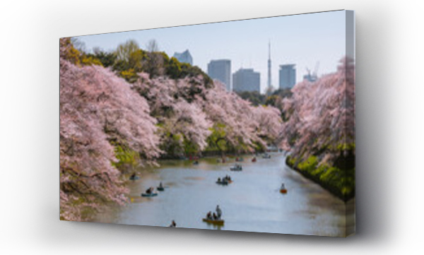 Wizualizacja Obrazu : #1430047880 Chidorgafuchi moat during cherry blossom and city skyline, Tokyo, Japan