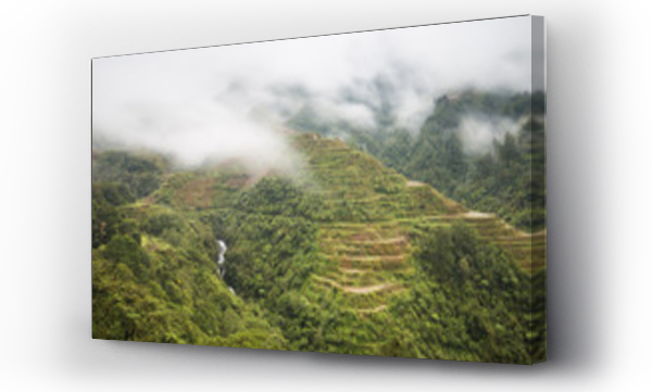 Wizualizacja Obrazu : #143354691 Banaue Rice Terraces, The Philippines