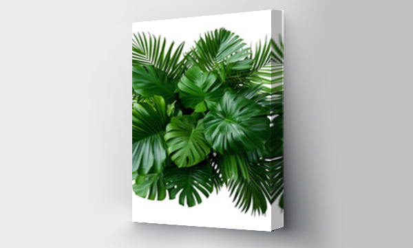 monstera
