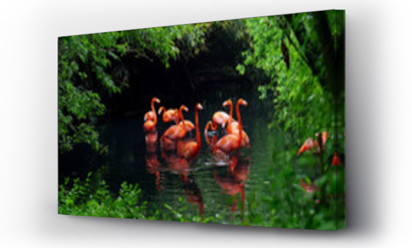 Grupa różowych flamingów bawi się w wodzie i jest w fantastycznym miejscu