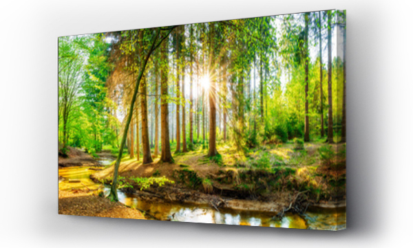 Wizualizacja Obrazu : #145956920 Leśna panorama z potokiem i słońcem
