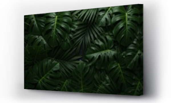 monstera