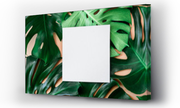 Wizualizacja Obrazu : #151040654 Monstera leaves background with a space for a text