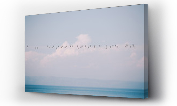 Wizualizacja Obrazu : #151746562 Birds by the sea
