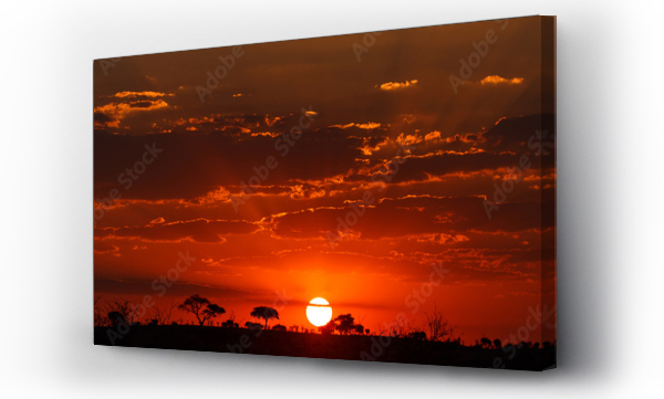 Zachód słońca - Chobe N.P. Botswana, Afryka
