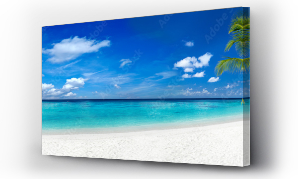coco palm panorama super szeroki format na tropikalnej rajskiej plaży marzeń