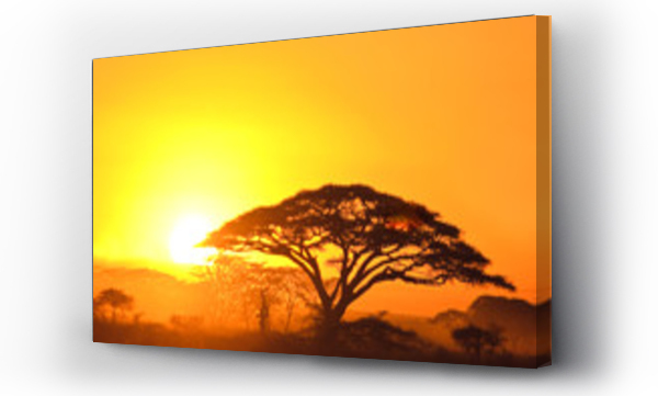 Zachód słońca w serengeti