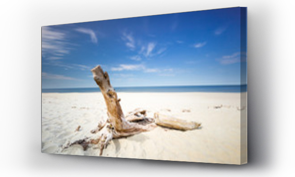 morze, morze bałtyckie, plaża, trawy