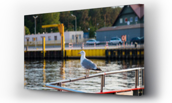 morze, polskie morze