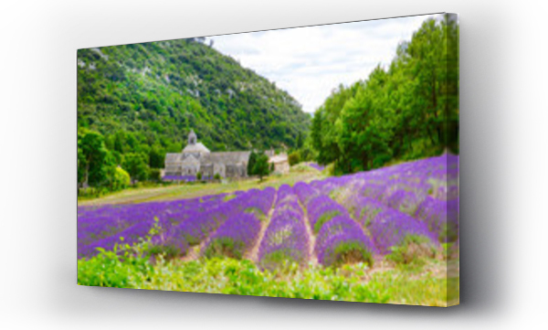 Wizualizacja Obrazu : #164100340 Abbey of Senanque and blooming rows lavender flowers