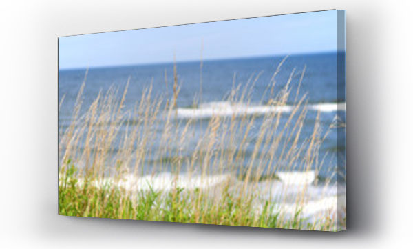 Bałtyk słońce, morze, pejzaż, plaża, trawa piasek