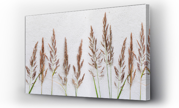 Kwiaty, Liście, polne kwiaty, wzór, łąka, Łąka kwiaty