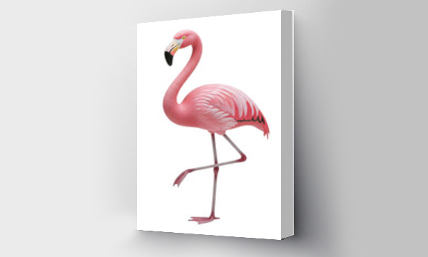 flamingi