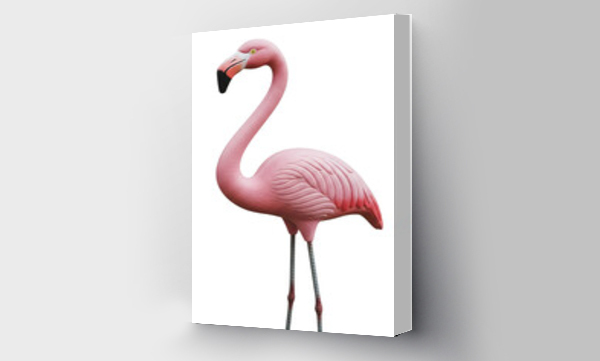flamingi