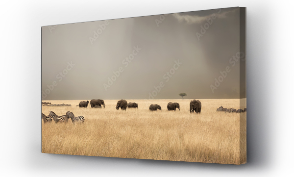 Burzowe niebo nad Masai Mara z słoniami i zebrami