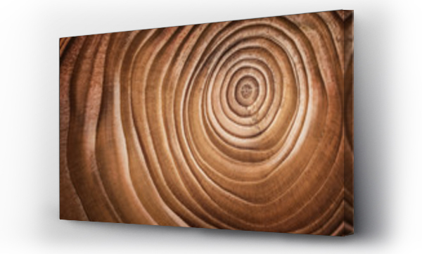 Wizualizacja Obrazu : #168110890 Wood larch texture of cut tree trunk, close-up.