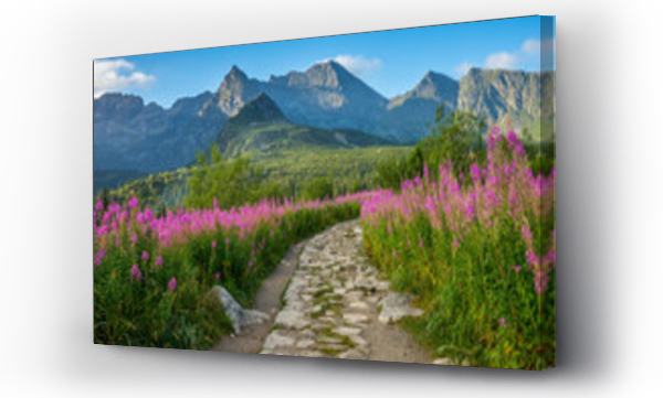 góry, Hala gasienicowa, Kwiaty, pejzaż, Tatry