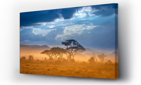 Afrykańska sawanna. Podnóże góry Kilimandżaro.