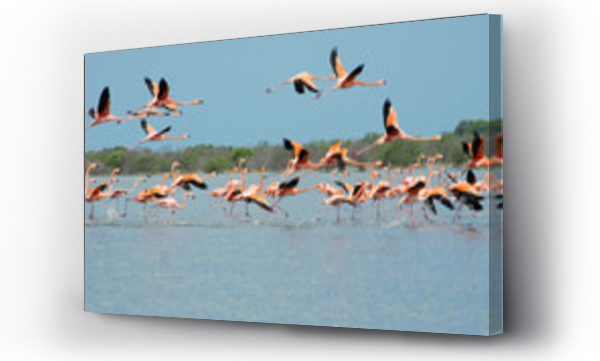 Wizualizacja Obrazu : #170574495 Pink flamingos flying over the lagoon.
