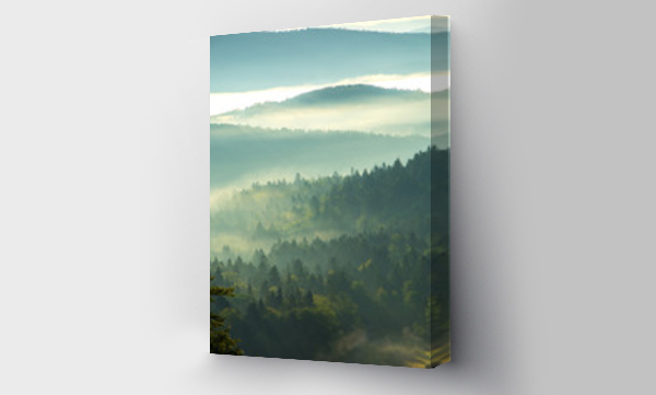 beskid sądecki, góry, las, wschód słońca, wschód słońca góry