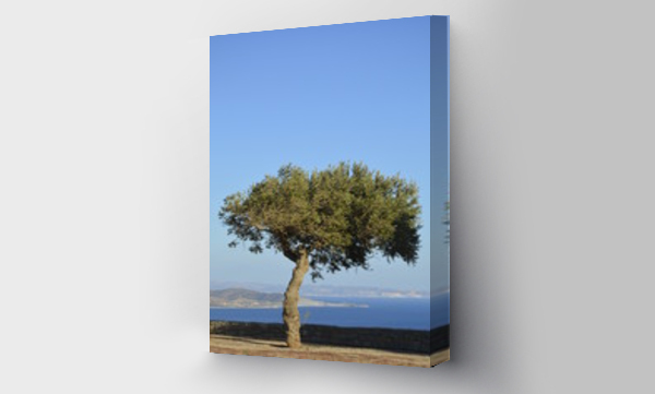Wizualizacja Obrazu : #172499750 Samotne drzewo