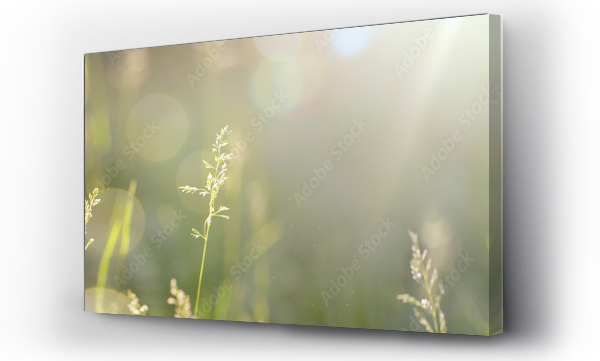 charakter, natura, rozmycie