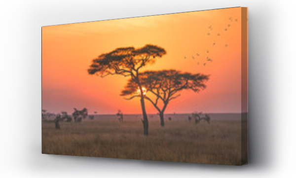 Wschód słońca w parku narodowym Serengeti, Tanzania
