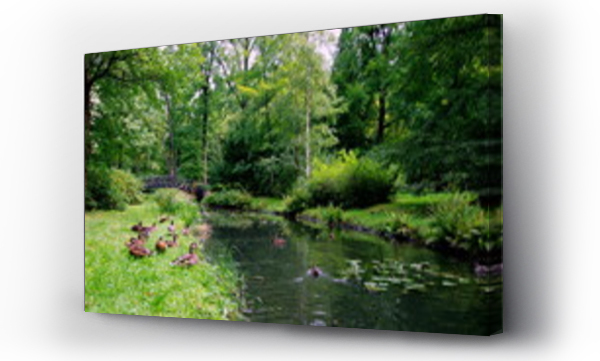 ptaki, wrocław, zwierzęta