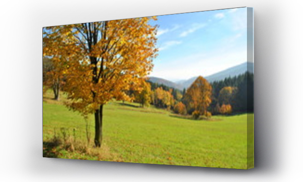 drzewo, pejzaż, Pejzaż górski