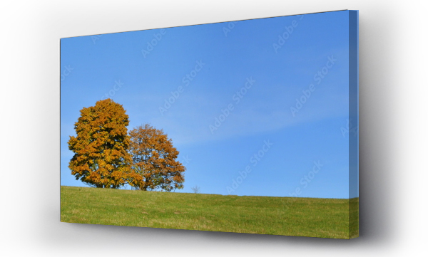 Wizualizacja Obrazu : #176893016 Jesienne drzewa na horyzoncie