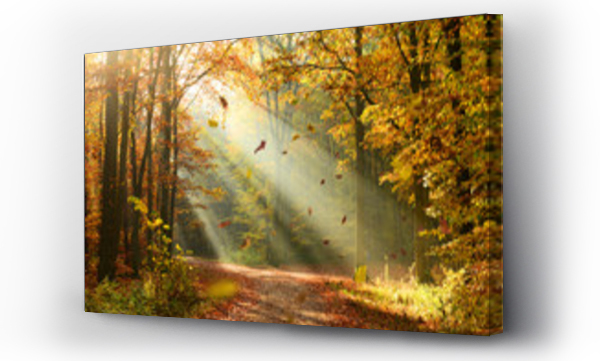 Wizualizacja Obrazu : #176984252 Autumn forest