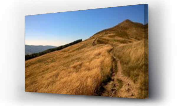 pejzaż, Pejzaż górski