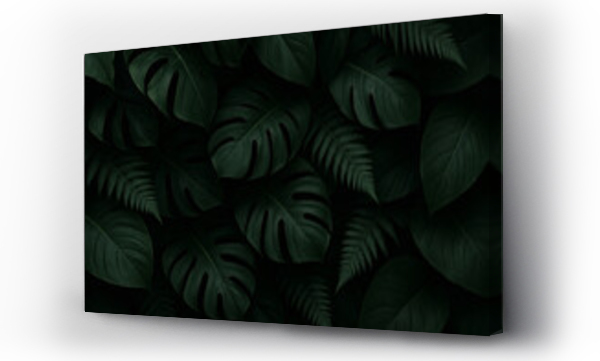 monstera