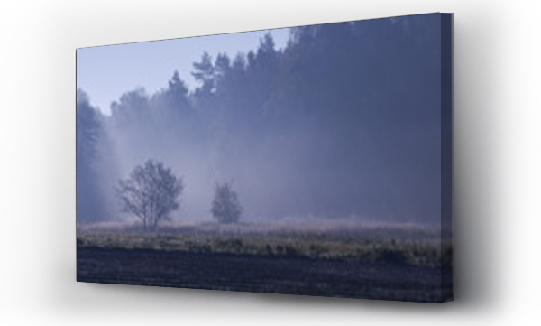 pejzaż, Pejzaż wiejski