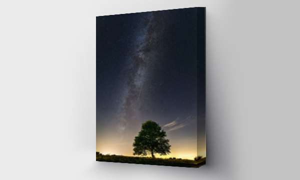 Wizualizacja Obrazu : #181604346 Drzewo i Droga Mleczna