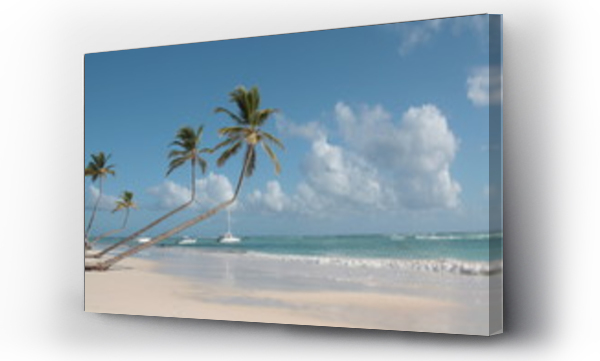 Wizualizacja Obrazu : #18374246 pochylone palmy kokosowe nad brzegiem morza karaibskiego